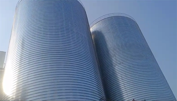 兴安2座混凝土高架卷板仓